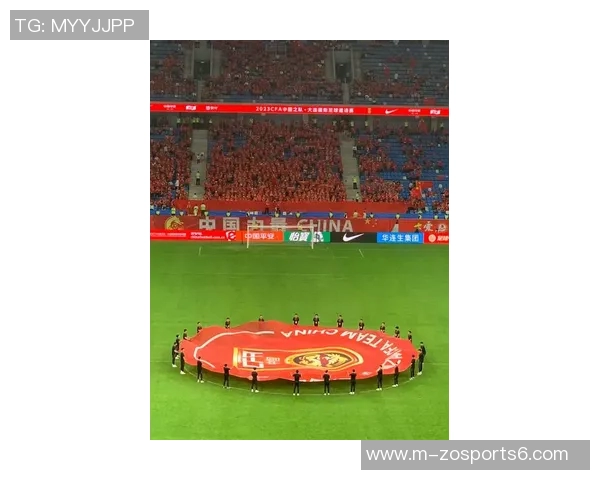 足球赛现场观众人数揭秘及其对比赛氛围的影响分析